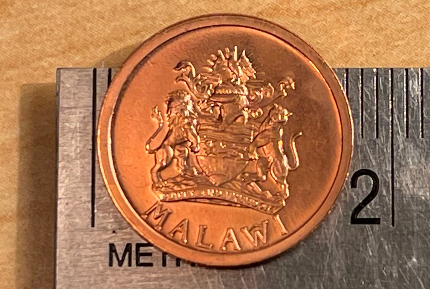 TIlapia Fish 1 Tambala Malawi Authentic Coin Money for Jewelry and Craft Making