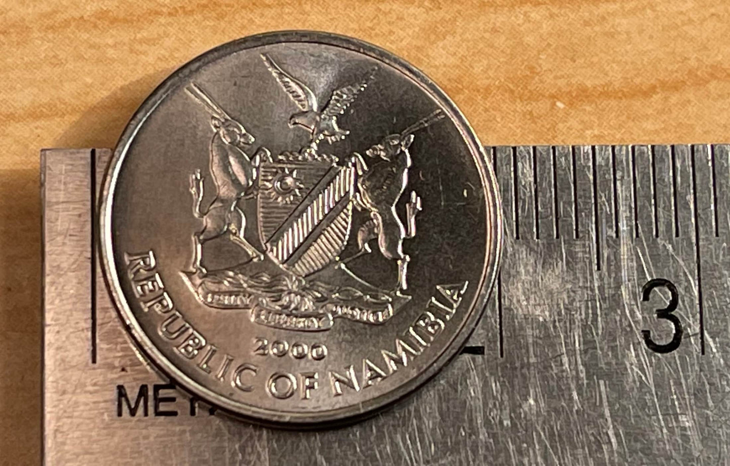 Cape Horse Mackerel "Eat More Fish" Namibian Authentic Coin Money for Jewelry and Craft Making