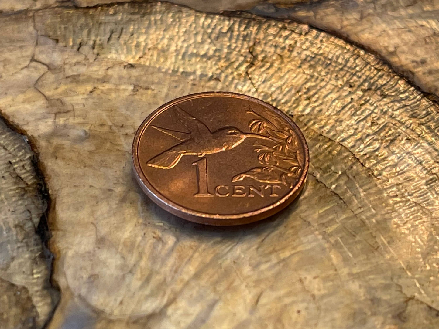 Hummingbird in flight Trinidad Tobago One Cent Authentic copper Coin - Money for Jewelry and Craft Making - drilled coin - Coin charm