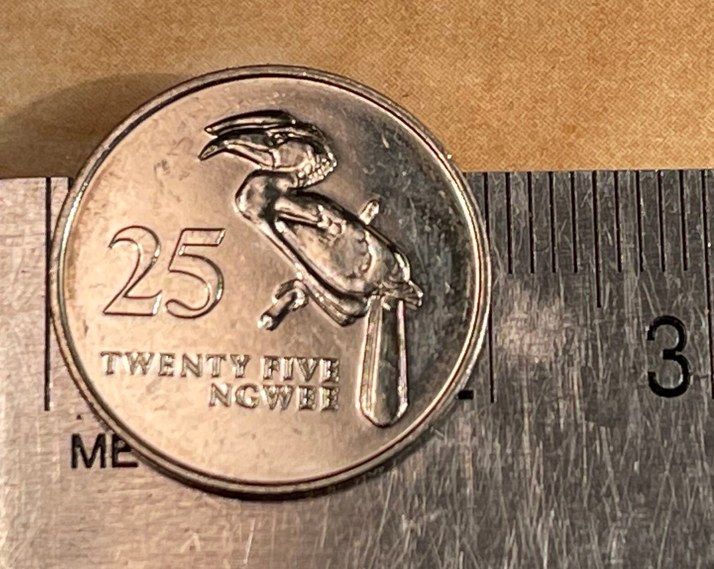 Hornbill 25 Ngwee Zambia Authentic Coin Money for Jewelry and Craft Making