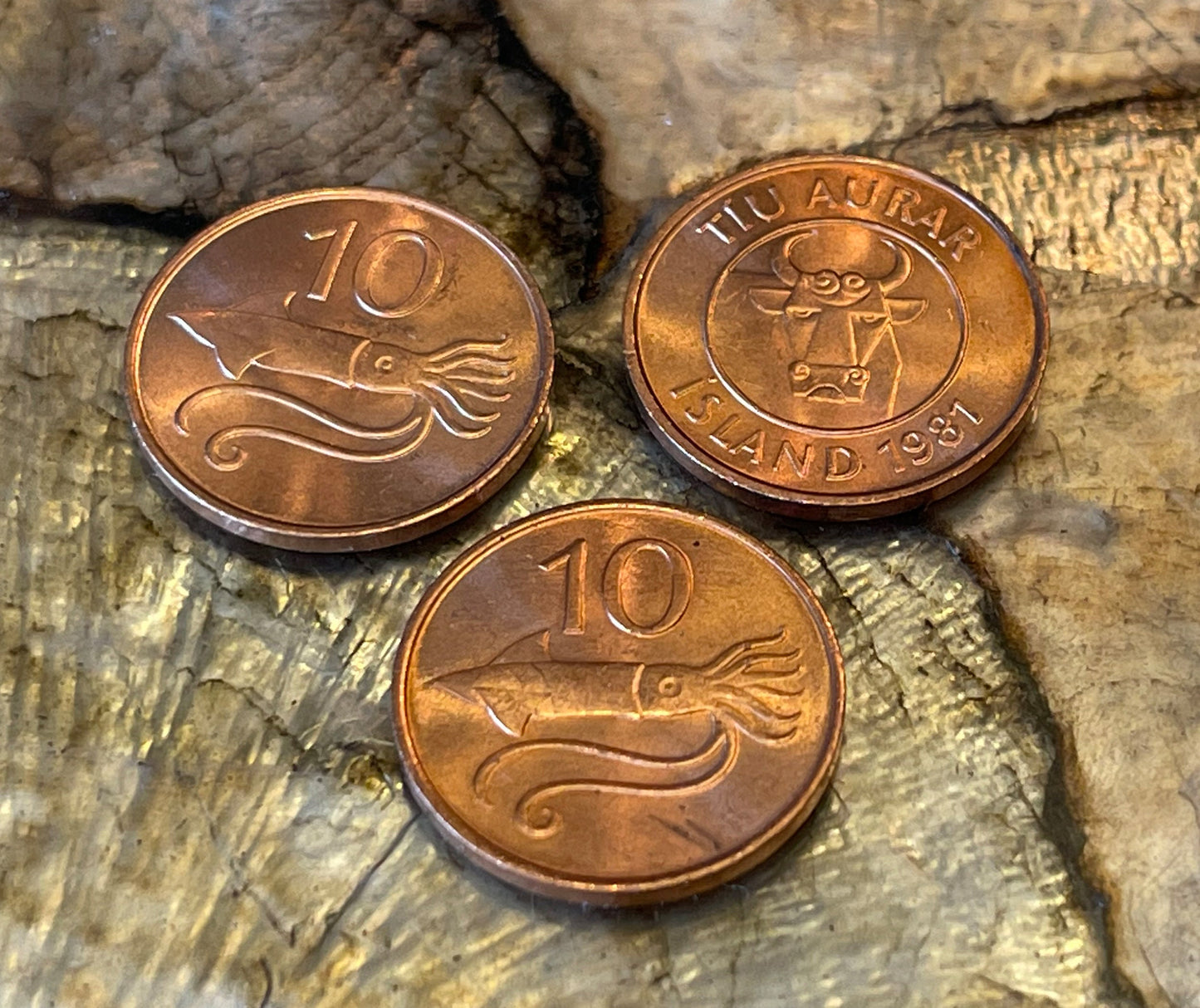 Bull & Squid Iceland Authentic Coin 10 Aurar for Jewelry and Crafting