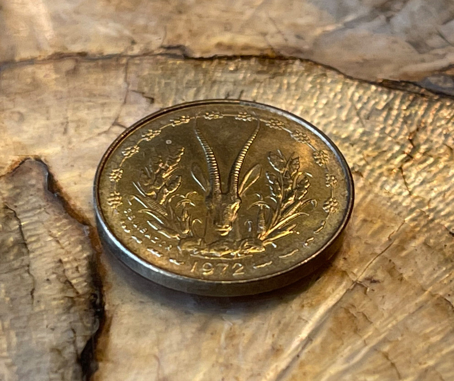 Dama Gazelle 5 CFA Francs & Akan Sawfish Goldweight West African States Authentic Coin Money 5 Francs for Jewelry and Craft Making