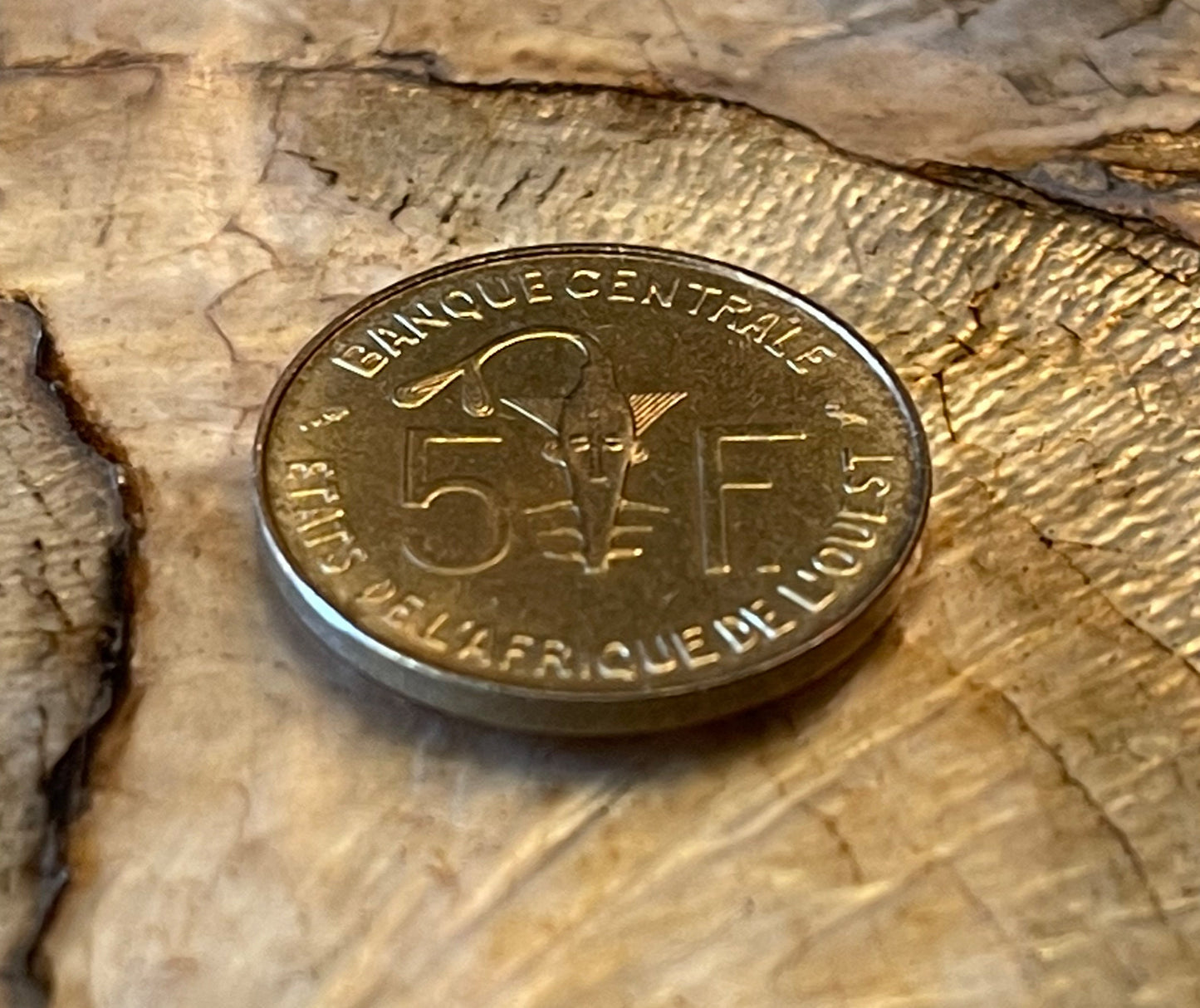 Dama Gazelle 5 CFA Francs & Akan Sawfish Goldweight West African States Authentic Coin Money 5 Francs for Jewelry and Craft Making