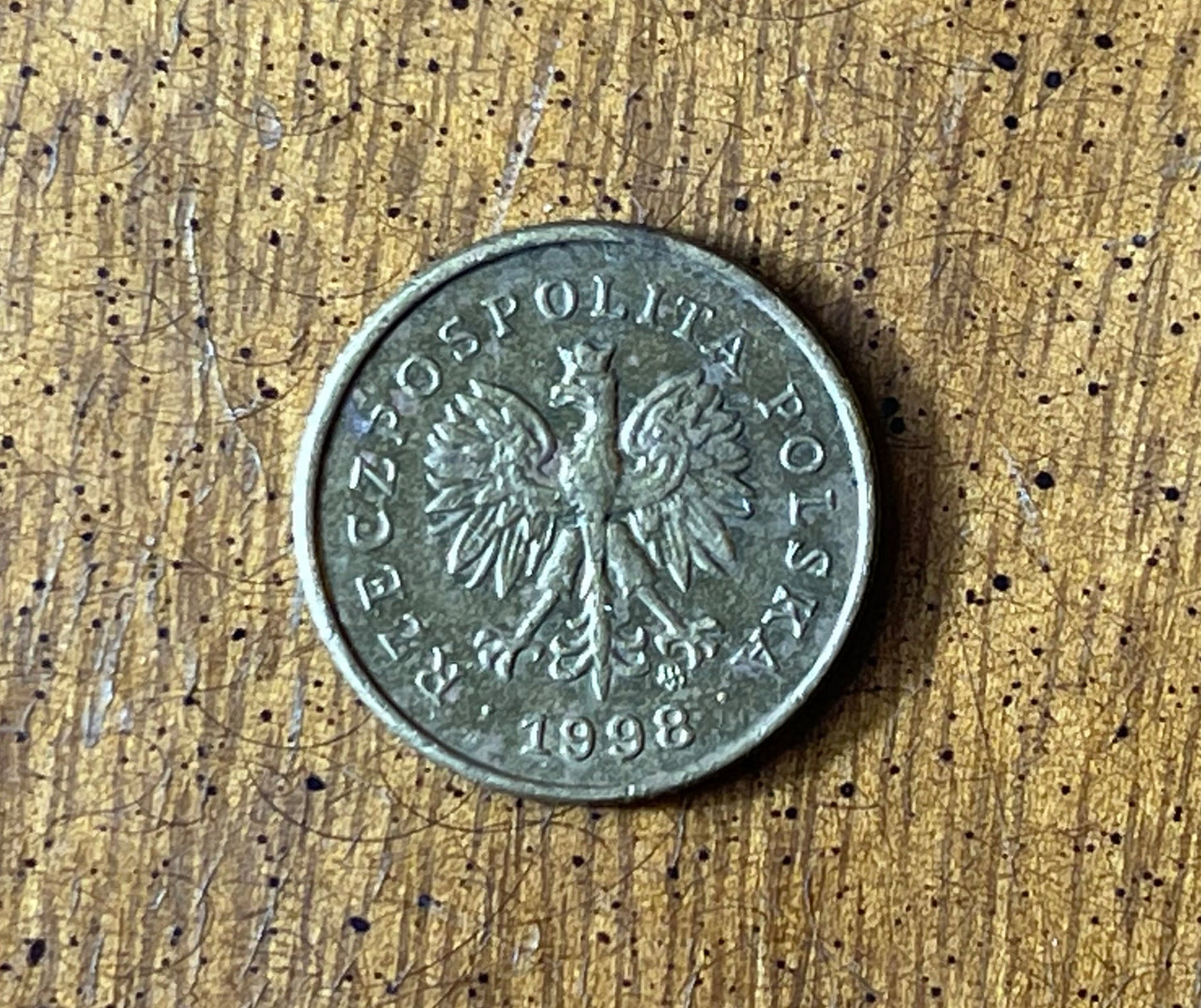 Oak Leaf Poland Authentic Coin Money 1 Grosz for Jewelry and Craft Making