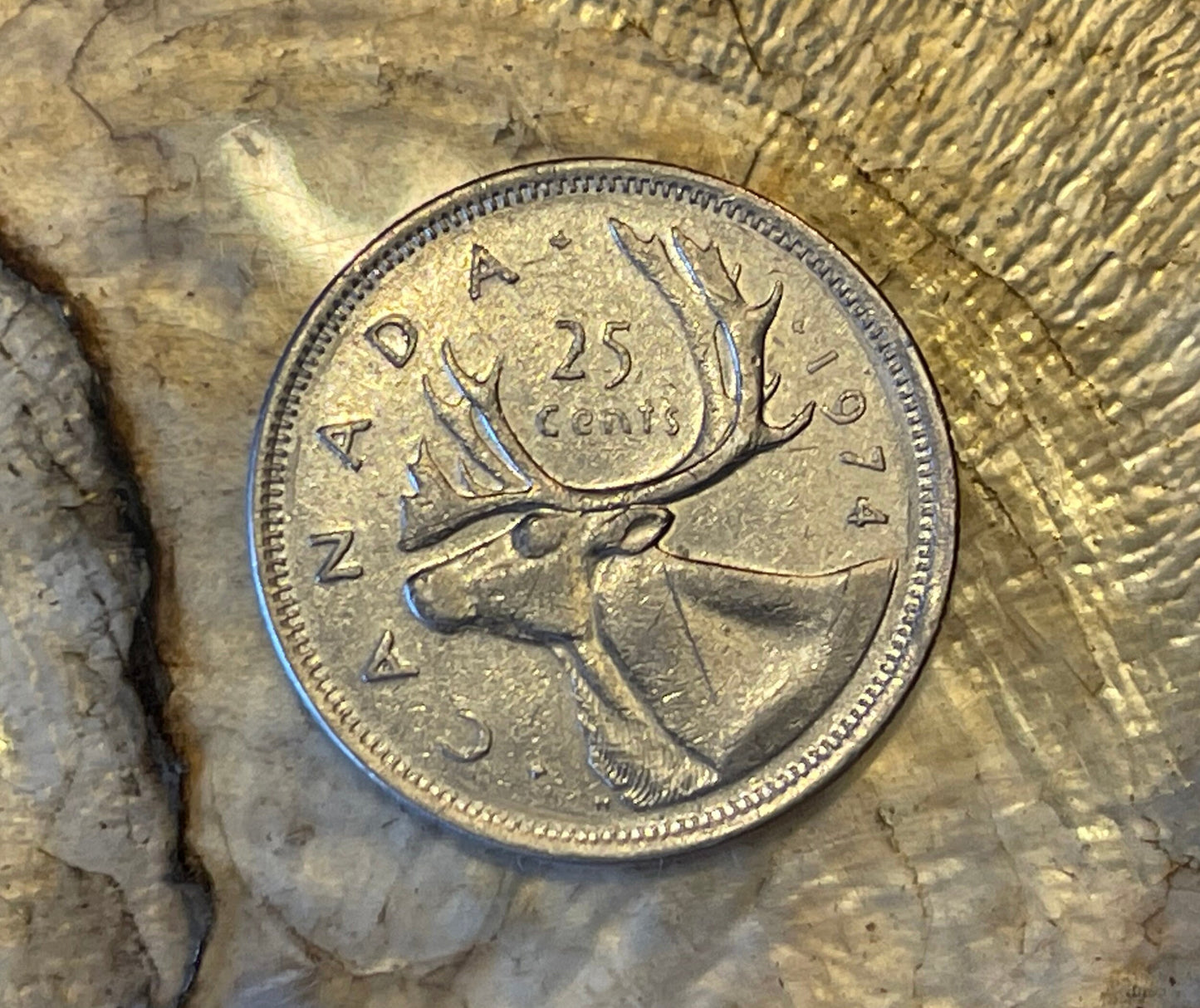Caribou & Queen Elizabeth Canadian Authentic Coin Money for Jewelry and Craft Making