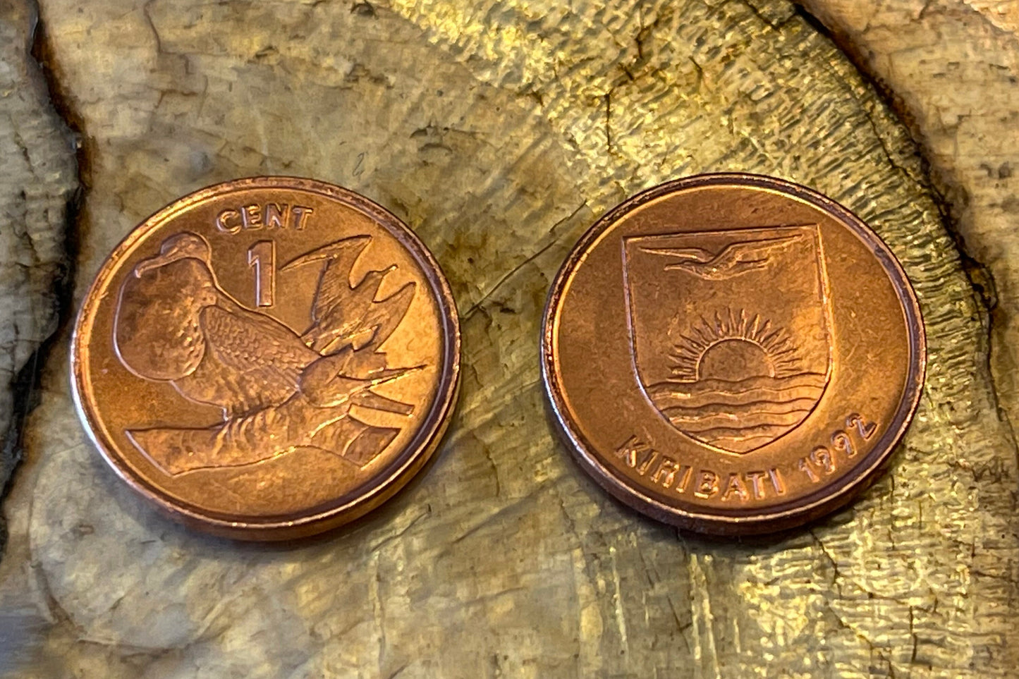 Frigate Bird Kiribati Authentic Coin Money Penny for Jewelry and Craft Making