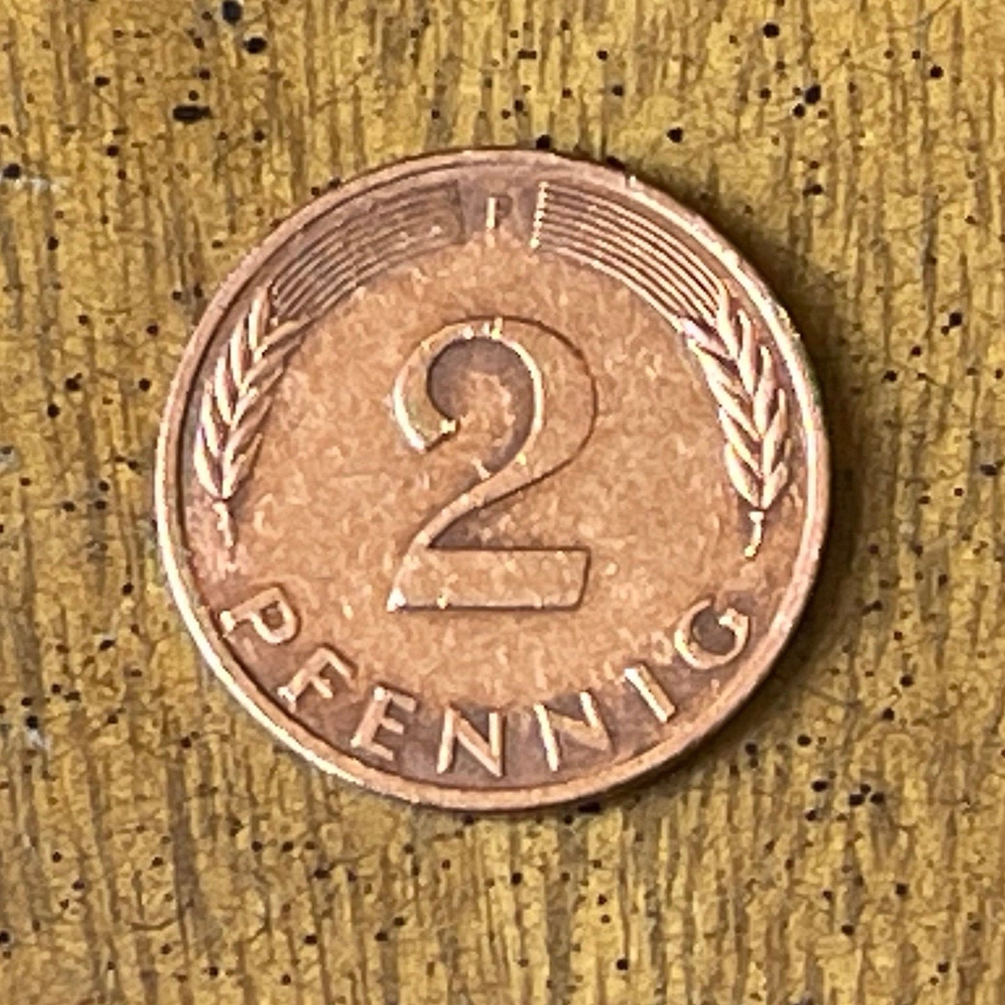 Oak Seedling 2 Pfennig German Authentic Coin Money for Jewelry and Craft Making