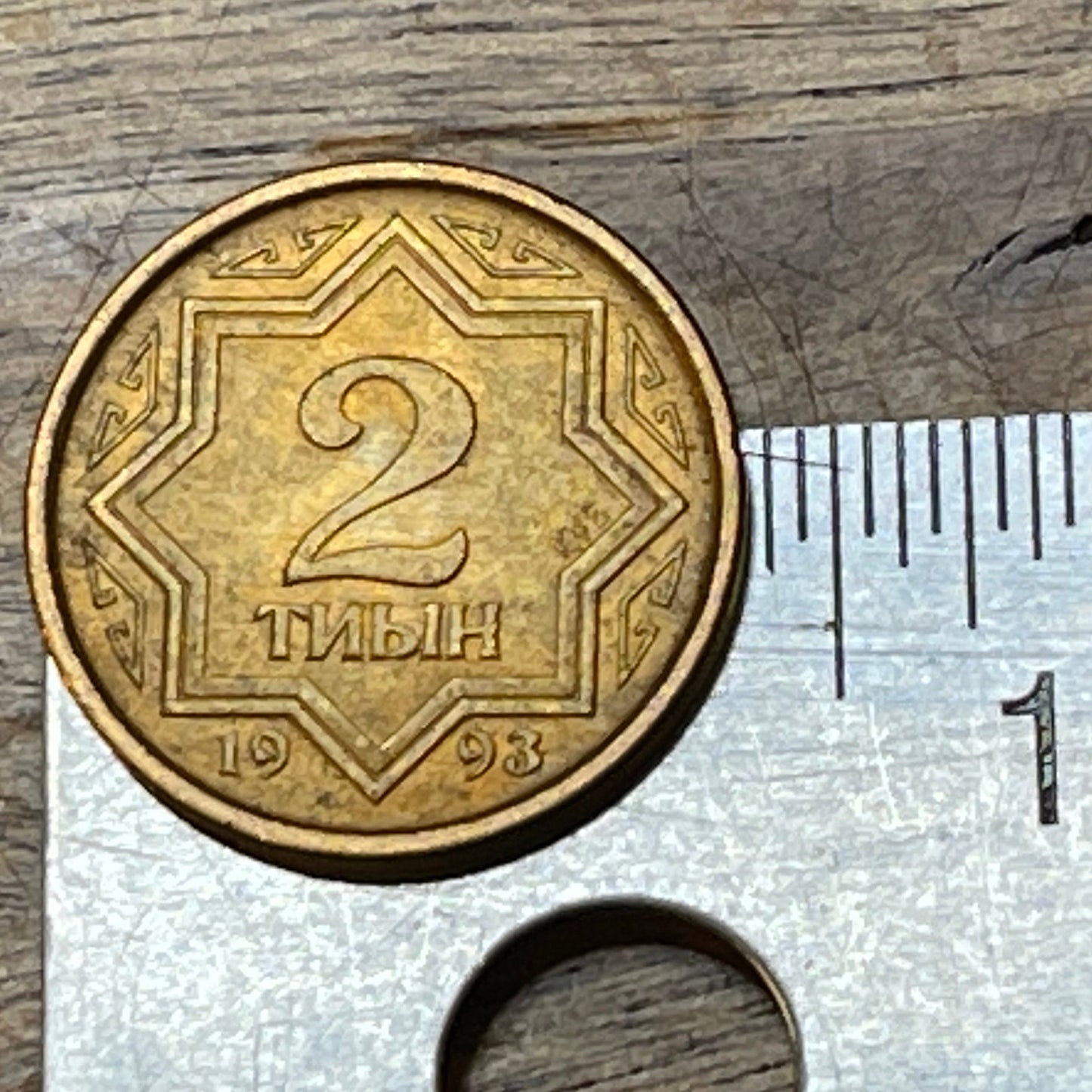 Pegasus Winged Horses Tulpar 2 Tyin Kazakhstan Authentic Coin Money for Jewelry and Craft Making