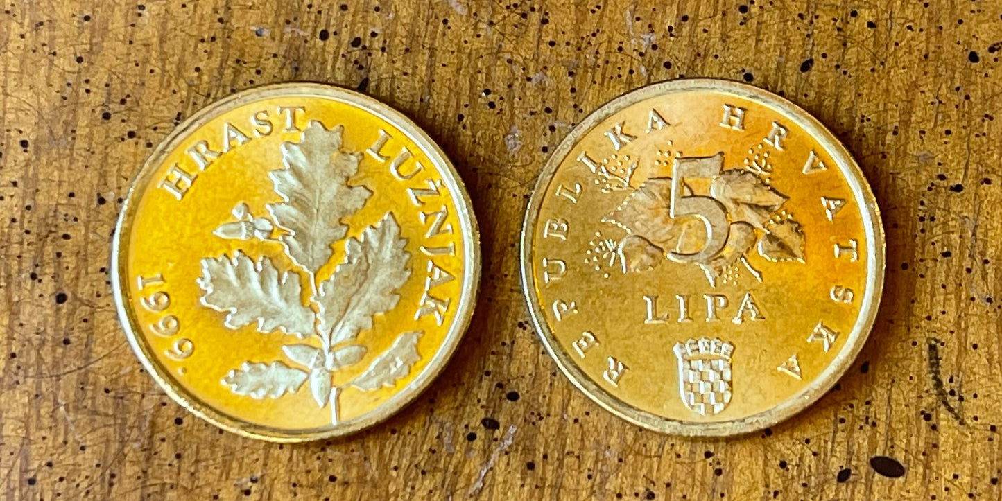 Red Oak Branch Croatia Authentic Coin Money 5 Lipa for Jewelry and Craft Making