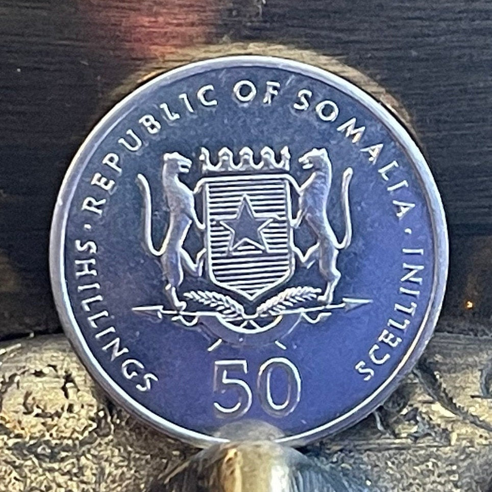 Mandrill 50 Shillings Somalia Authentic Coin Money for Jewelry and Craft Making