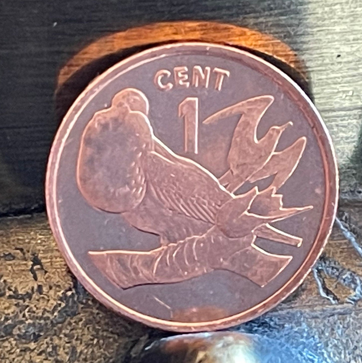 Frigate Bird Kiribati Authentic Coin Money Penny for Jewelry and Craft Making