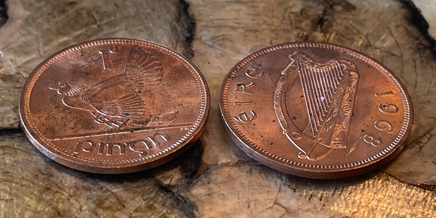 Irish Lucky Penny "Harp & Hen with Chicks" Ireland 1 Penny Authentic Coin Money for Jewelry and Craft Making