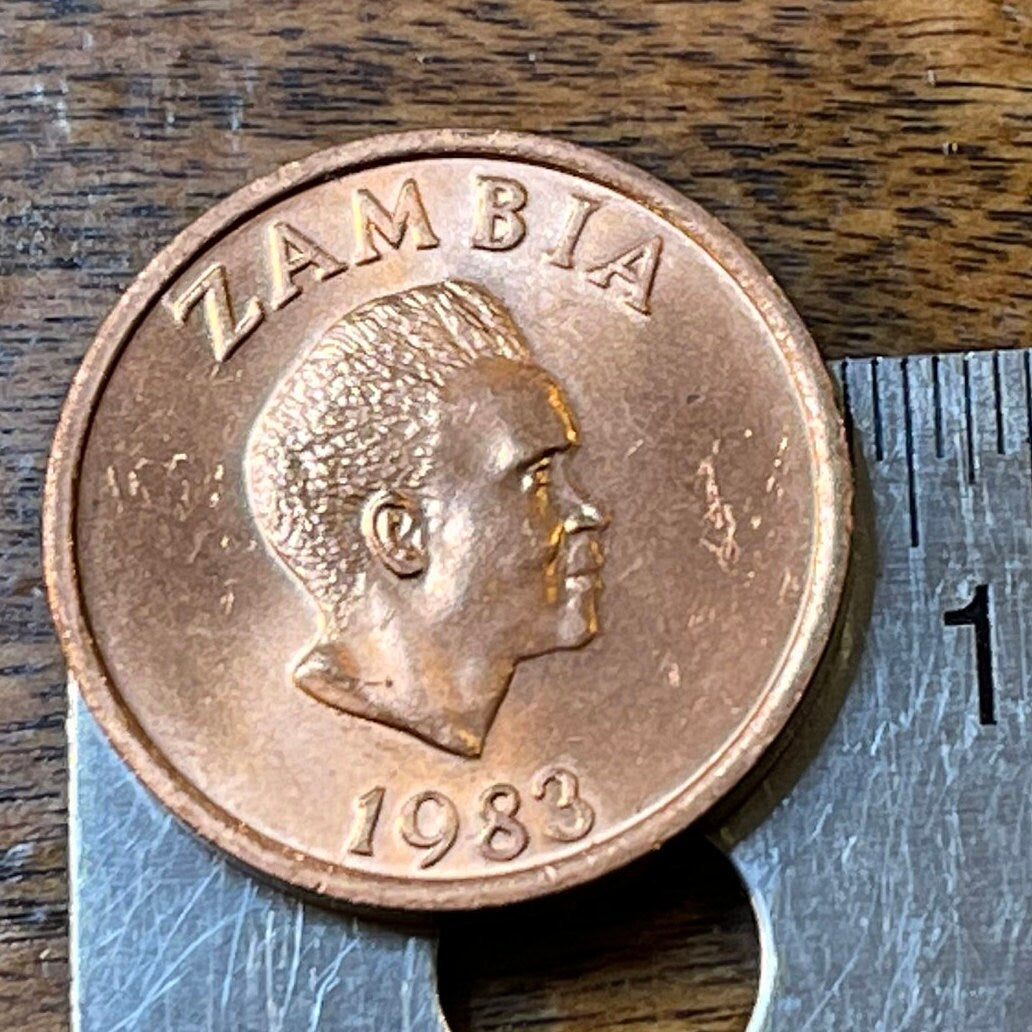 Martial Eagle & Kenneth Kaunda 2 Ngwee Zambia Authentic Coin Money for Jewelry and Craft Making