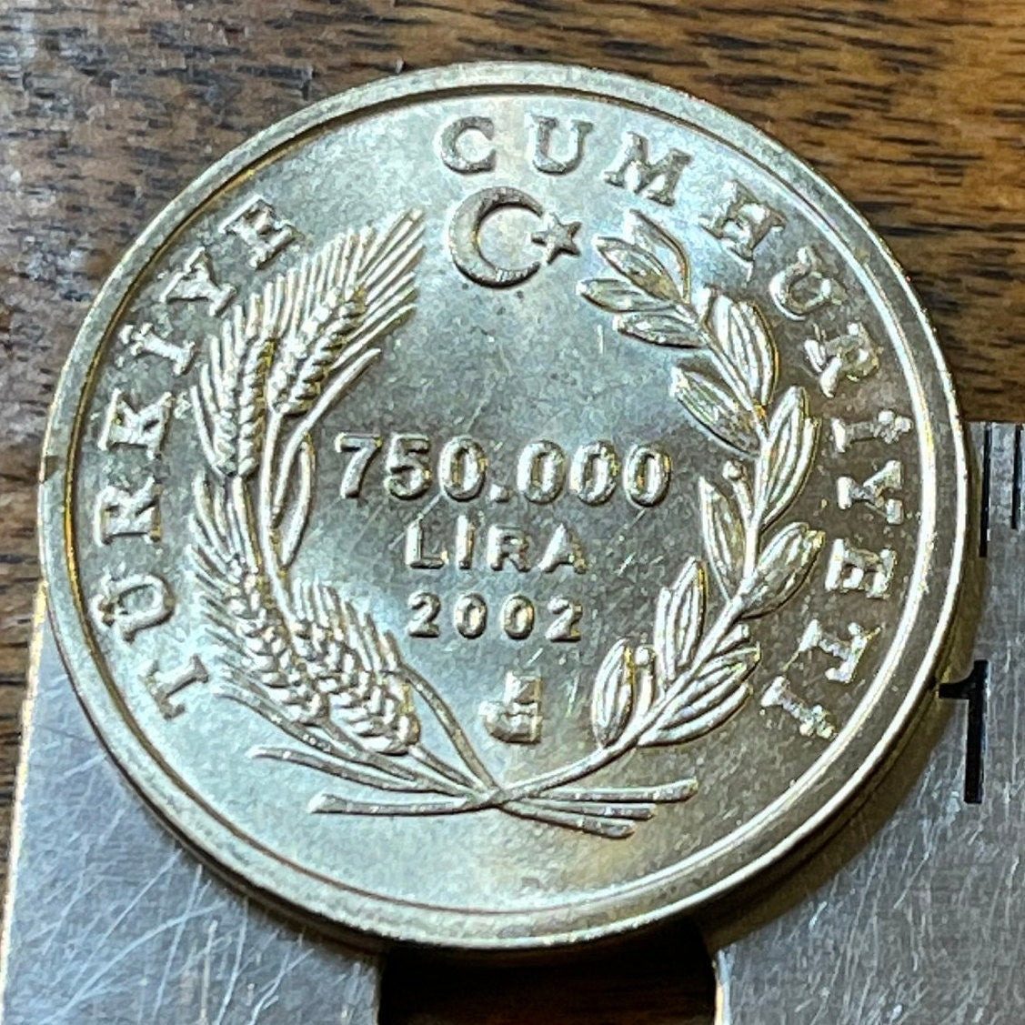 Angora Ram 750,000 Lira Turkey Authentic Coin Money for Jewelry and Craft Making (Mohair, Goat)