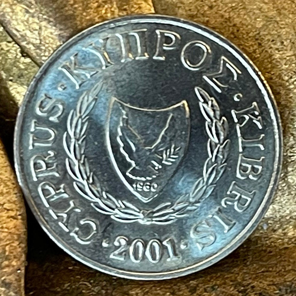 Bull Cyprus 5 Cents Authentic Coin Money for Jewelry and Craft Making