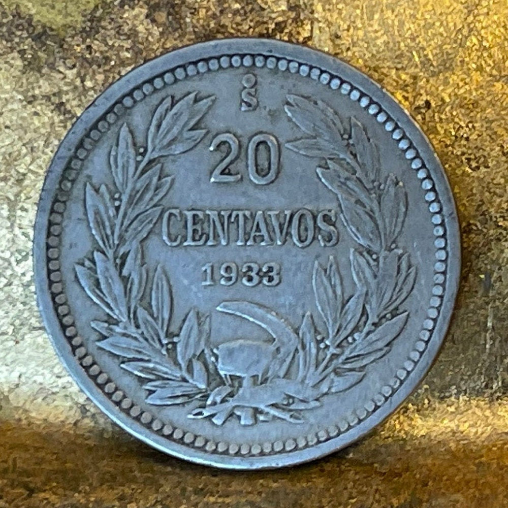Andean Condor 20 Centavos Chile Authentic Coin Money for Jewelry and Craft Making (1930s)