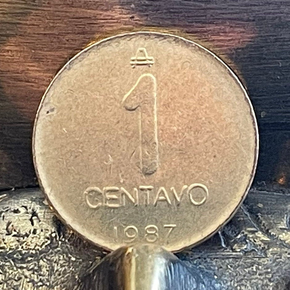 Greater Rhea Argentina 1 Centavo Authentic Coin Money for Jewelry and Craft Making 1987