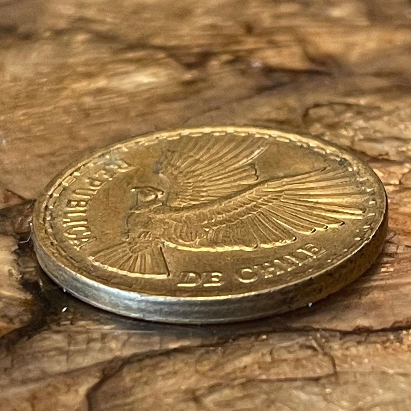 Andean Condor 10 Centesimos Chile Authentic Coin Money for Jewelry and Craft Making