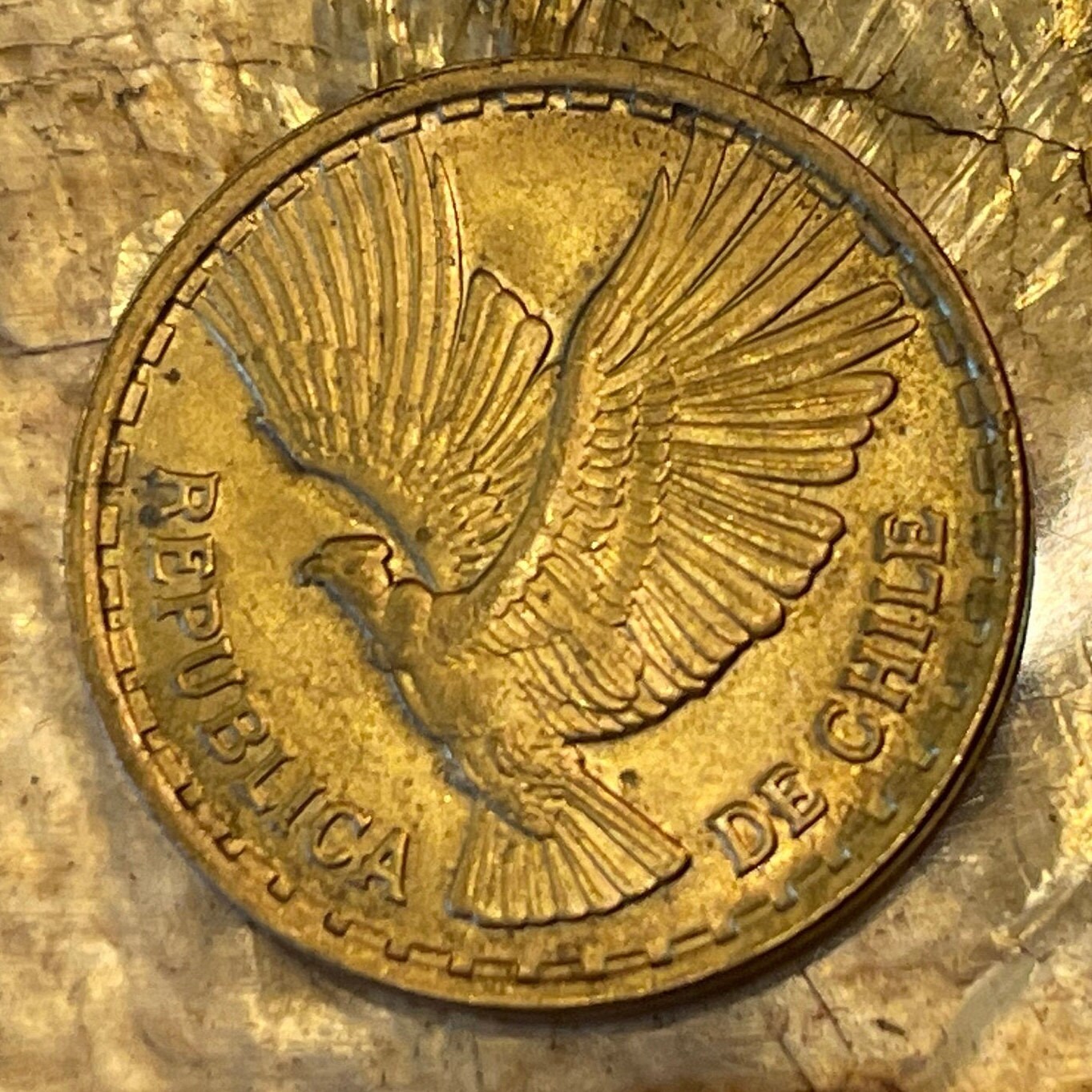Andean Condor 10 Centesimos Chile Authentic Coin Money for Jewelry and Craft Making