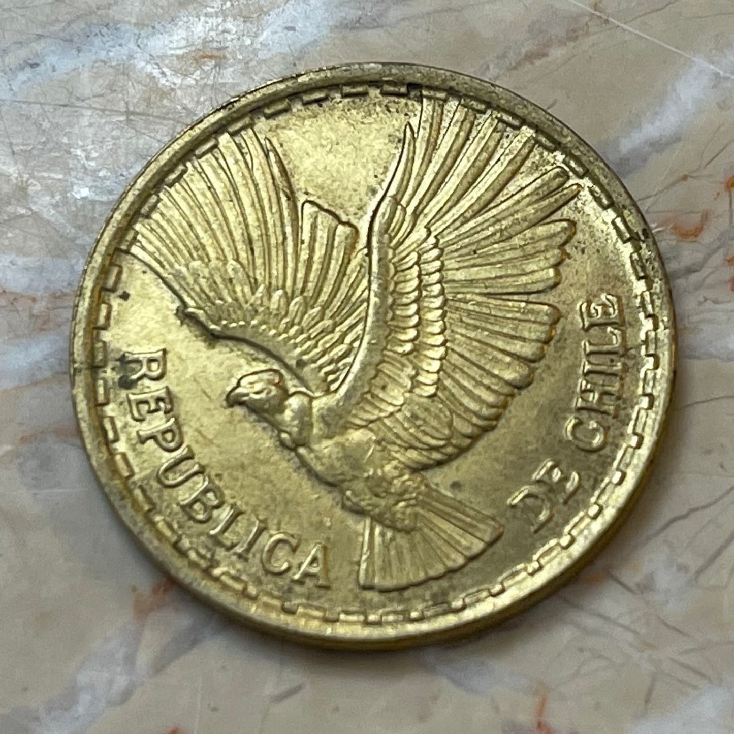 Andean Condor 10 Centesimos Chile Authentic Coin Money for Jewelry and Craft Making