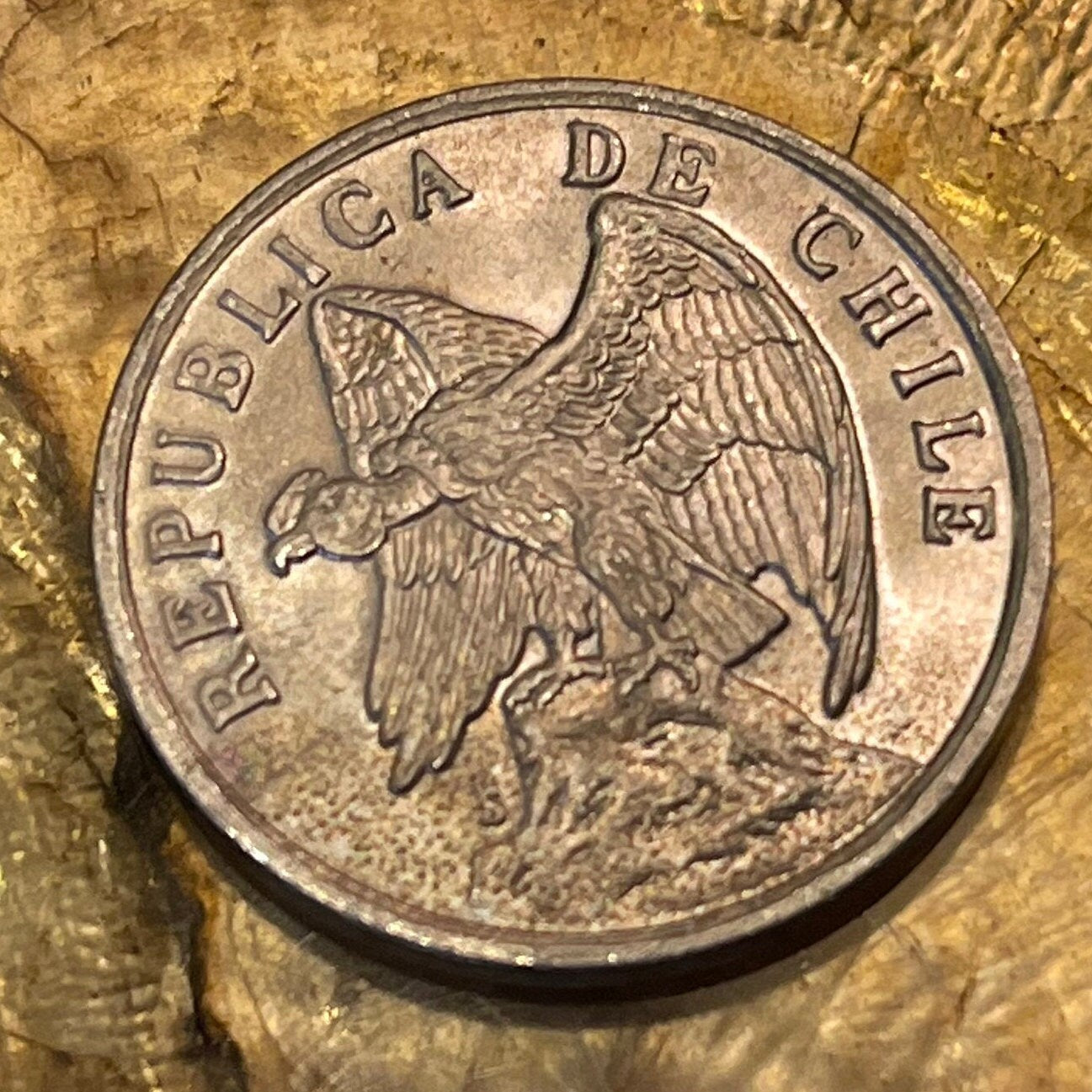 Andean Condor 1 Centavo Chile Authentic Coin Money for Jewelry and Craft Making