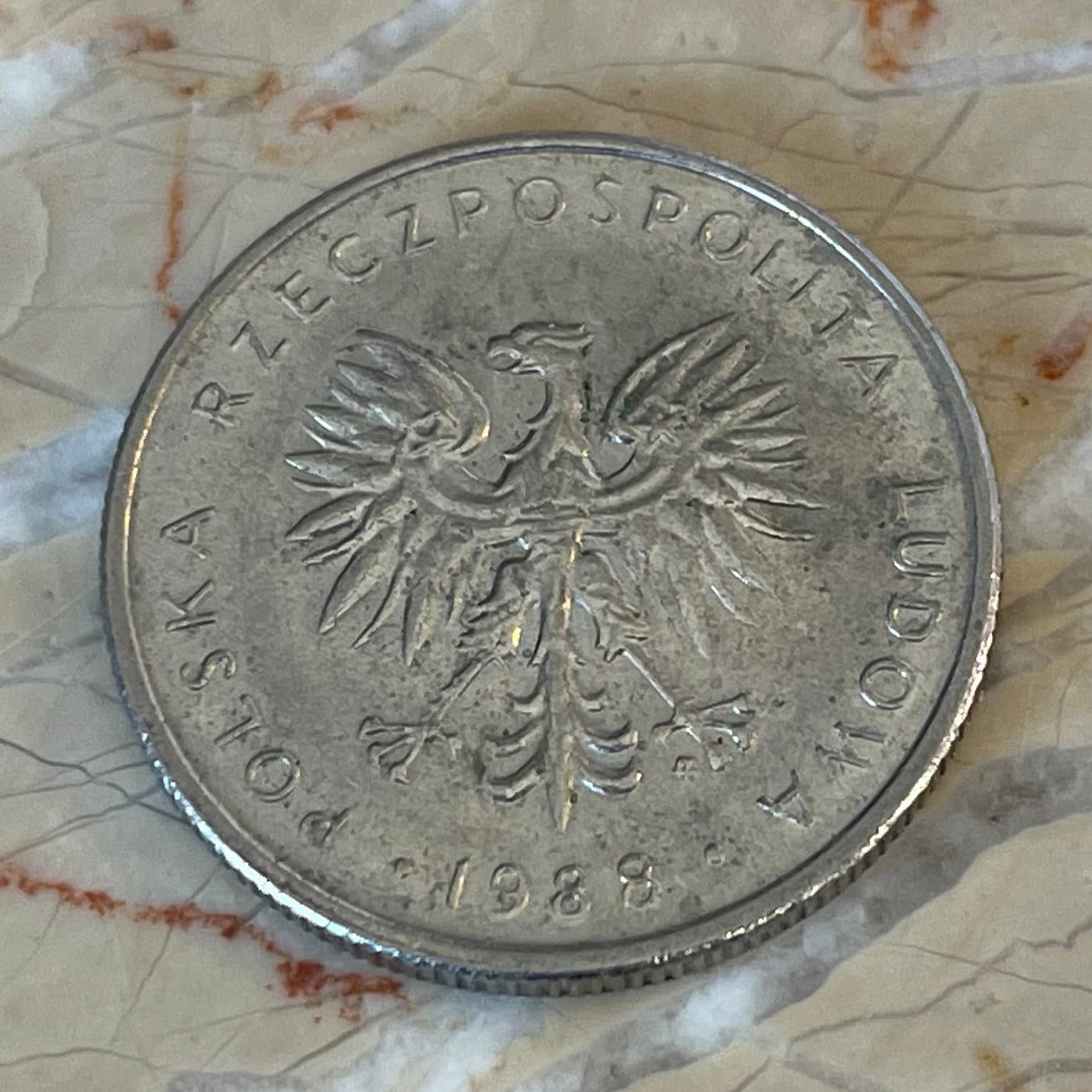 White Eagle 10 Zlotych Poland Authentic Coin Money for Jewelry and Craft Making