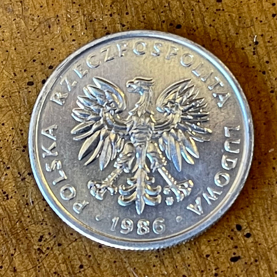 White Eagle 50 Groszy Poland Authentic Coin Money for Jewelry and Craft Making