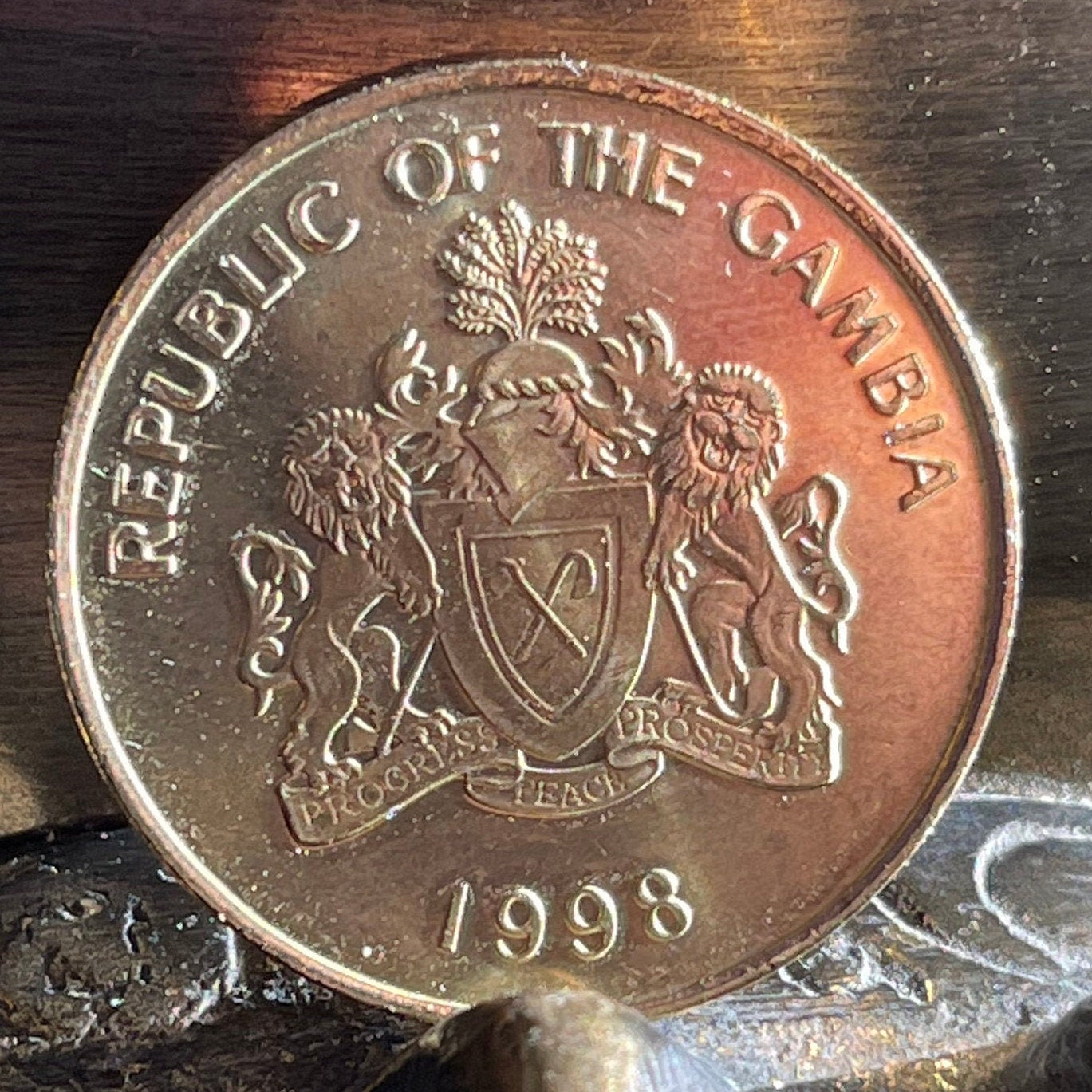 Double-Spurred Francolin Gambia 10 Butut Authentic Coin Money for Jewelry and Craft Making