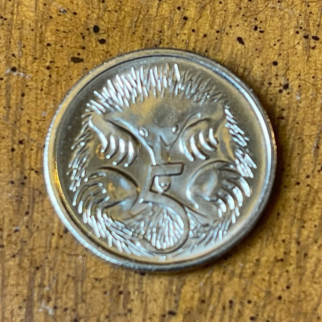 Spiny Anteater 5 Cents Australia Authentic Coin Money for Jewelry and Craft Making (Echidna) 2017