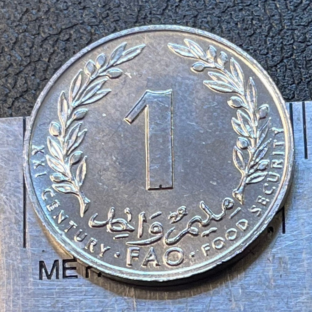 Cork Oak 1 Millim Tunisia Authentic Coin Money for Jewelry and Craft Making