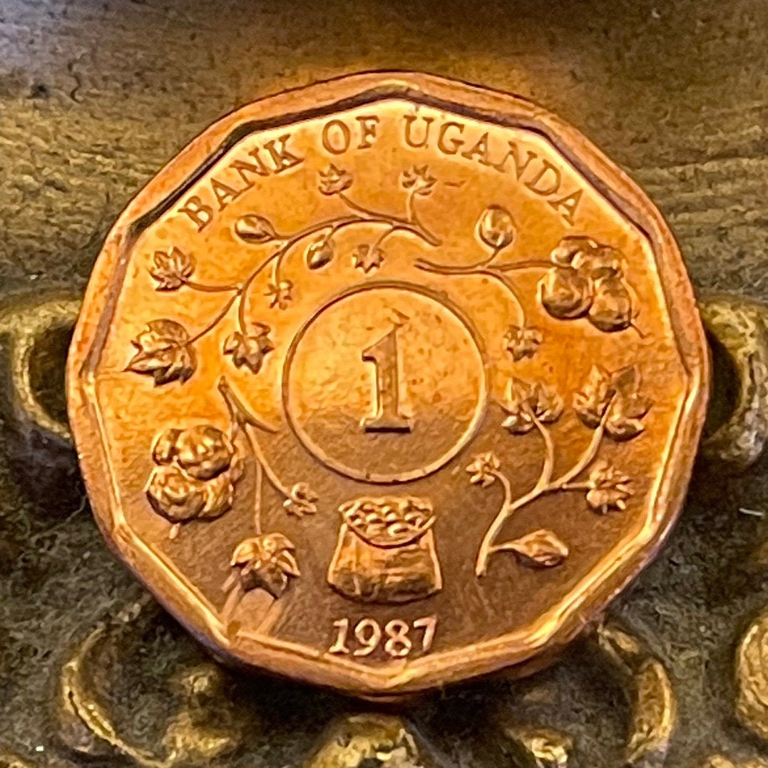 Cotton & Nuts 1 Shilling Uganda Authentic Coin Money for Jewelry and Craft Making