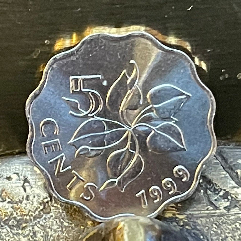 Calla Lily 5 Cents Swaziland Authentic Coin Money for Jewelry and Craft Making
