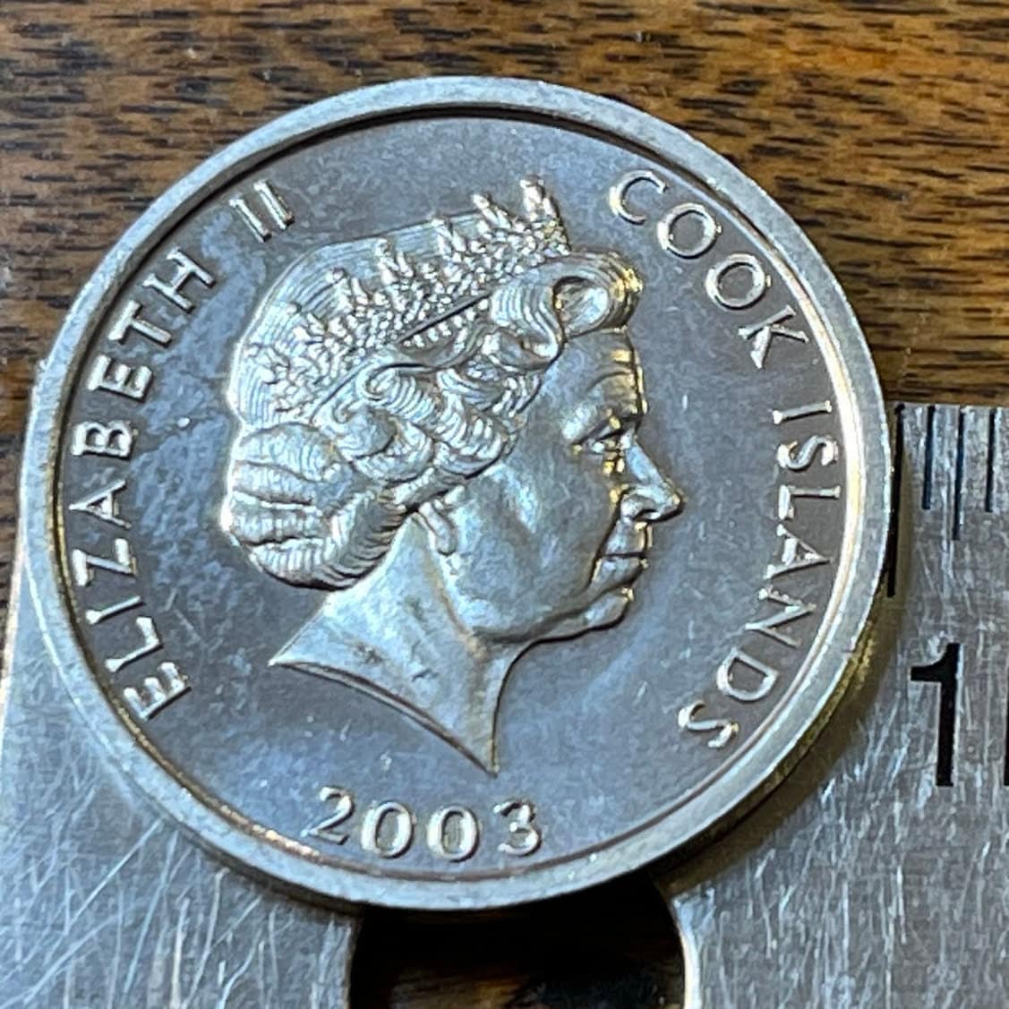 Wild Rooster 1 Cent Cook Islands Authentic Coin Money for Jewelry and Craft Making (Wild Chicken)