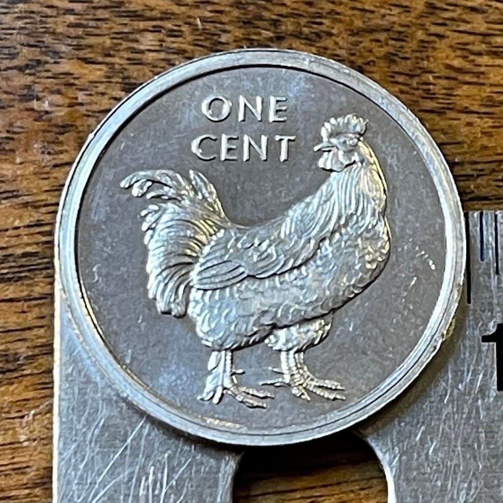 Wild Rooster 1 Cent Cook Islands Authentic Coin Money for Jewelry and Craft Making (Wild Chicken)