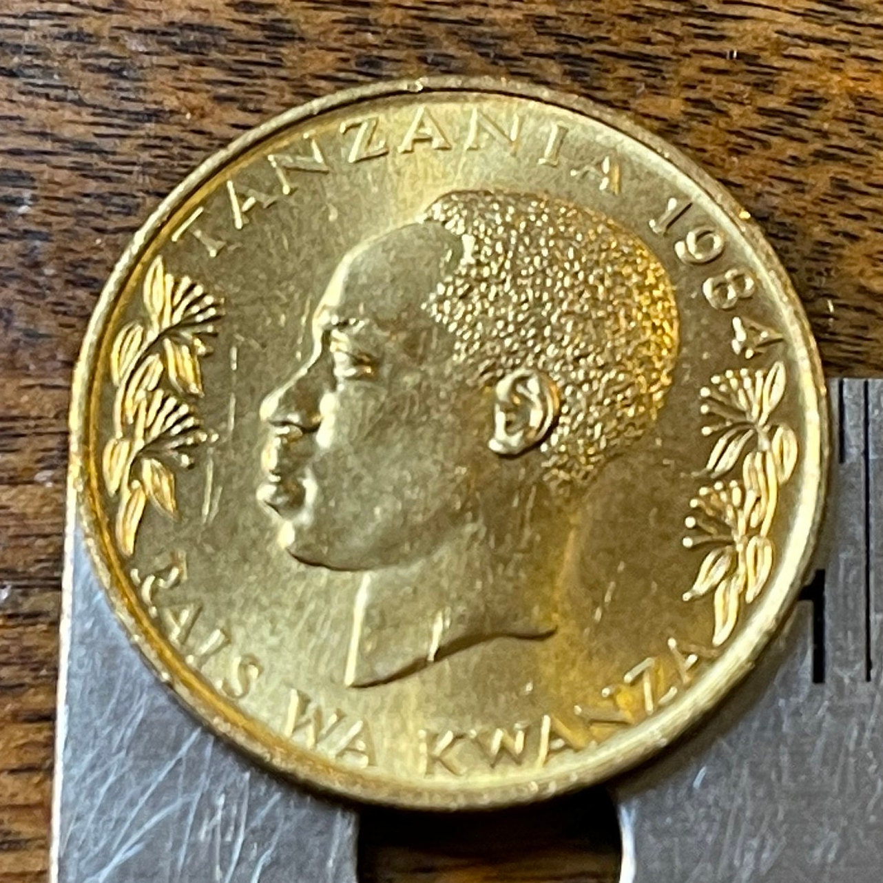 Ostrich Tanzania 20 Senti Coin Money for Jewelry and Craft Making (Julius Nyerere)