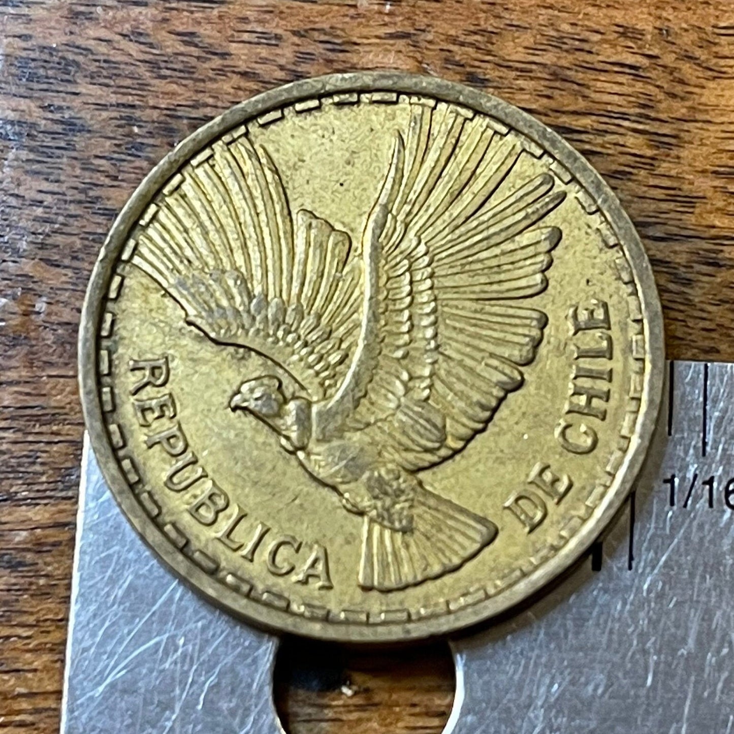 Andean Condor 10 Centesimos Chile Authentic Coin Money for Jewelry and Craft Making