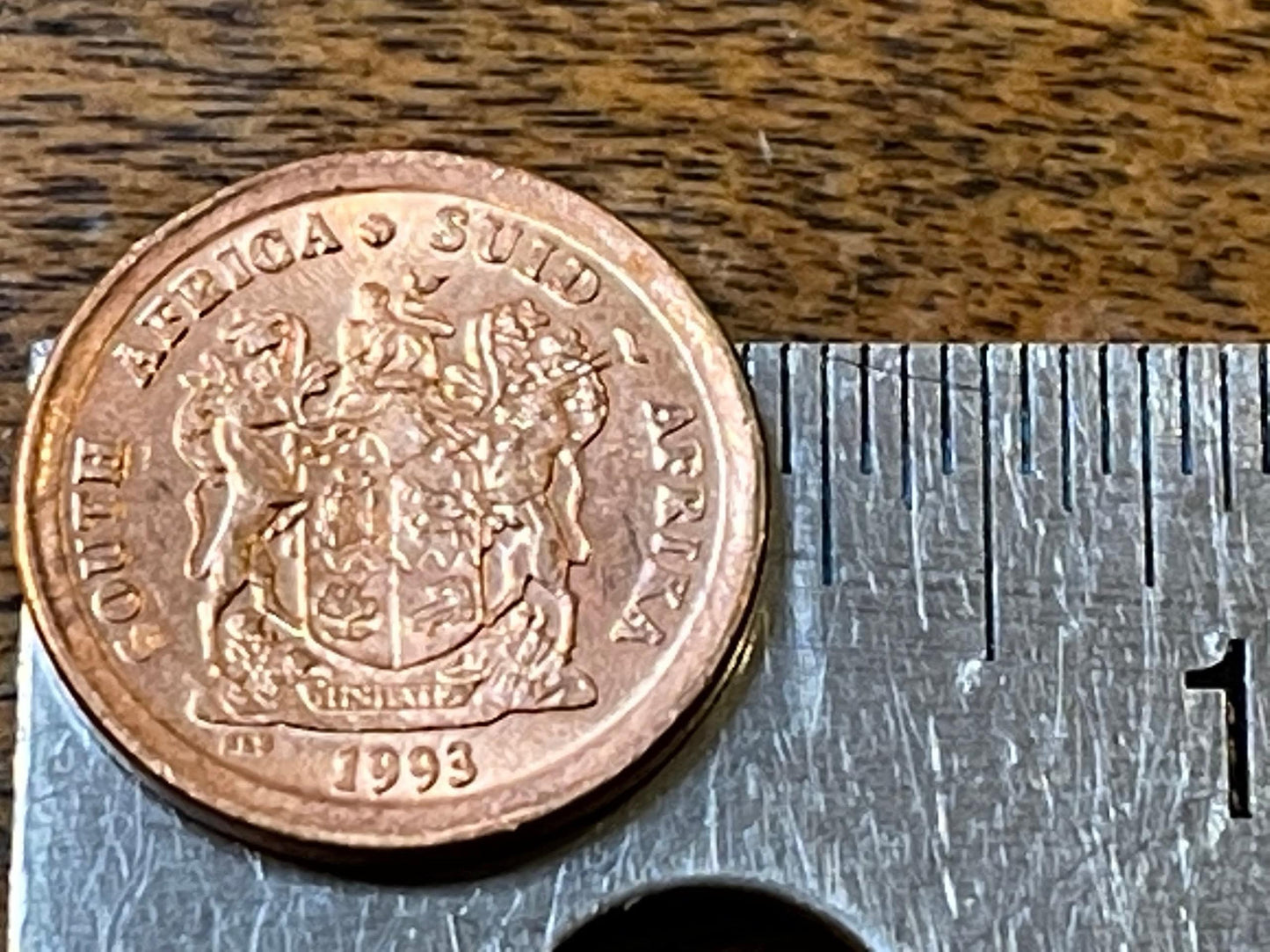 Sparrows 1 Cent South Africa Authentic Coin Money for Jewelry and Craft Making (Cape Sparrow)