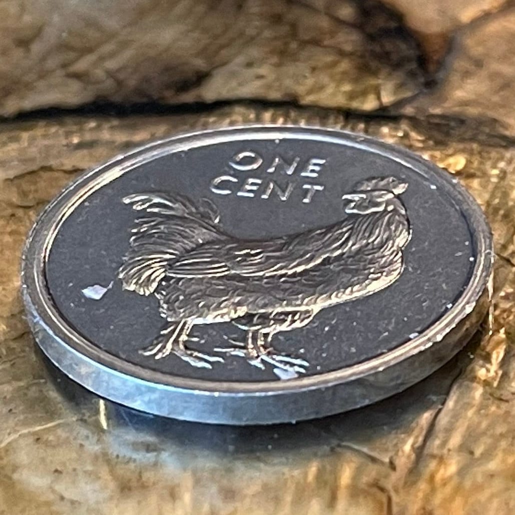Wild Rooster 1 Cent Cook Islands Authentic Coin Money for Jewelry and Craft Making (Wild Chicken)