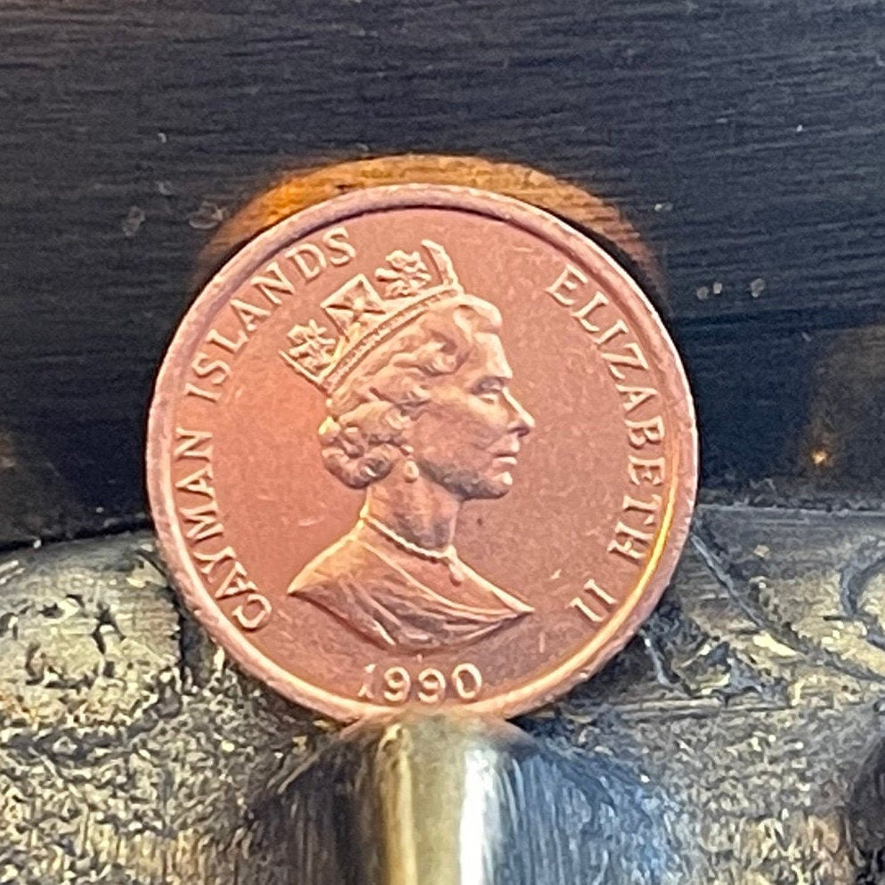 Grand Cayman Thrush Cayman Islands 1 Cent Authentic Coin Money for Jewelry and Craft Making