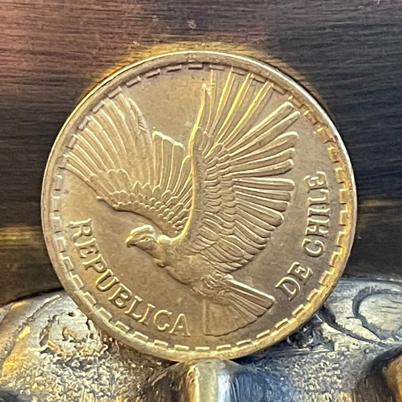 Andean Condor 10 Centesimos Chile Authentic Coin Money for Jewelry and Craft Making