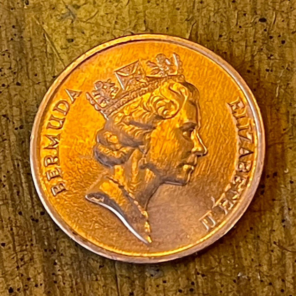 Wild Boar Bermuda 1 Cent Authentic Coin Money for Jewelry and Craft Making (Hog Money) (Pig Penny)