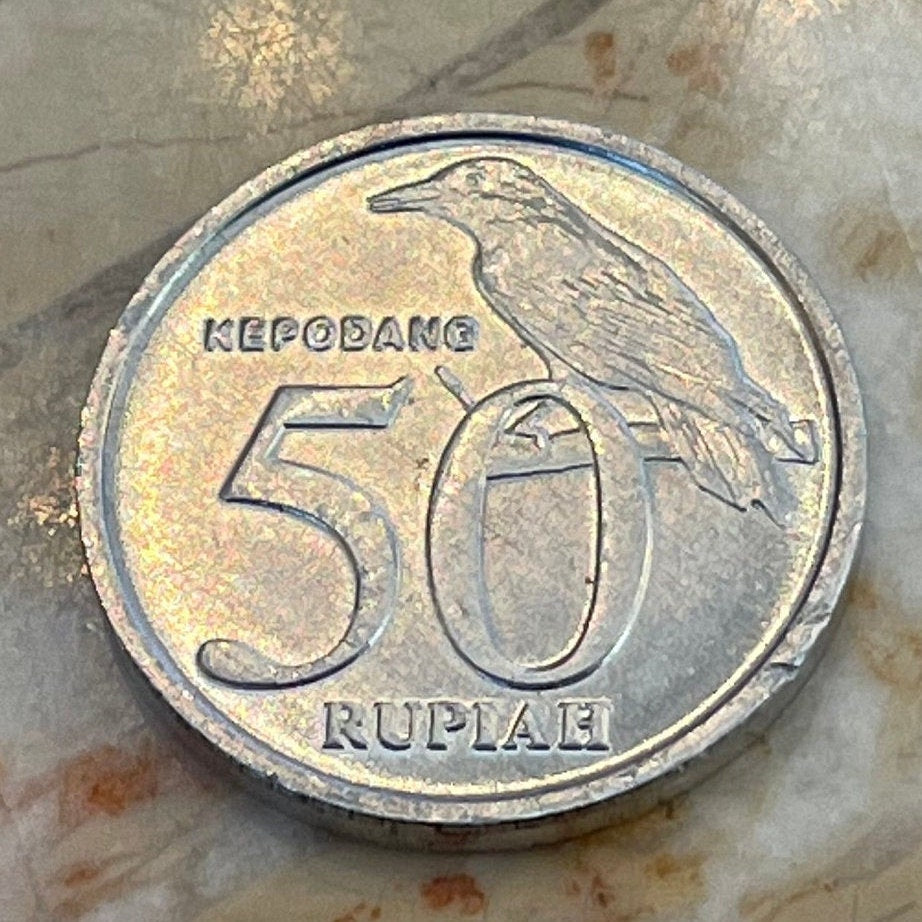 Garuda & Black-naped Oriole Indonesia 50 Rupiah Authentic Coin Money for Jewelry and Craft Making