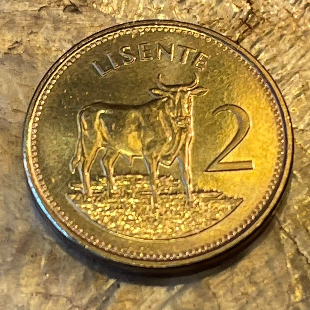 Bull Lesotho 2 Lisente Authentic Coin Money for Jewelry and Craft Making