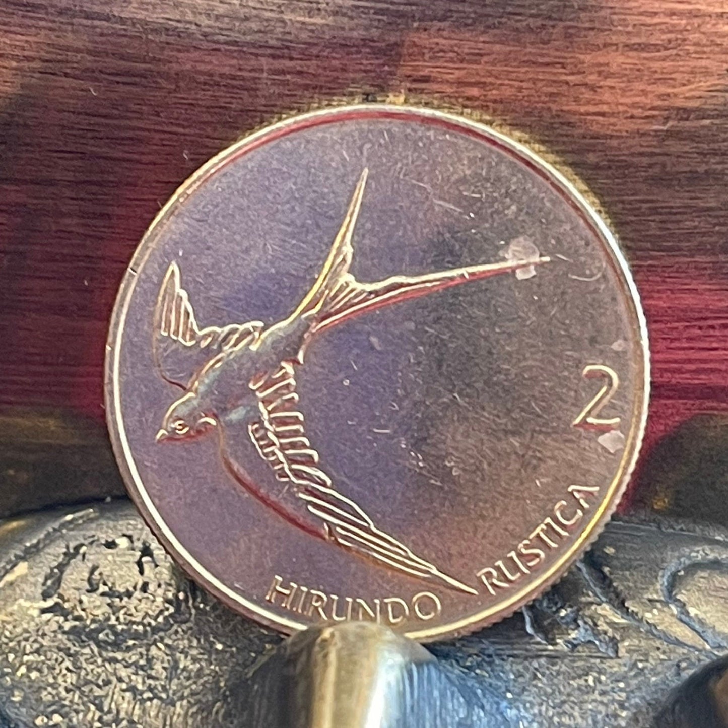 Barn Swallow Slovenia 2 Tolarja Authentic Coin Money for Jewelry and Craft Making