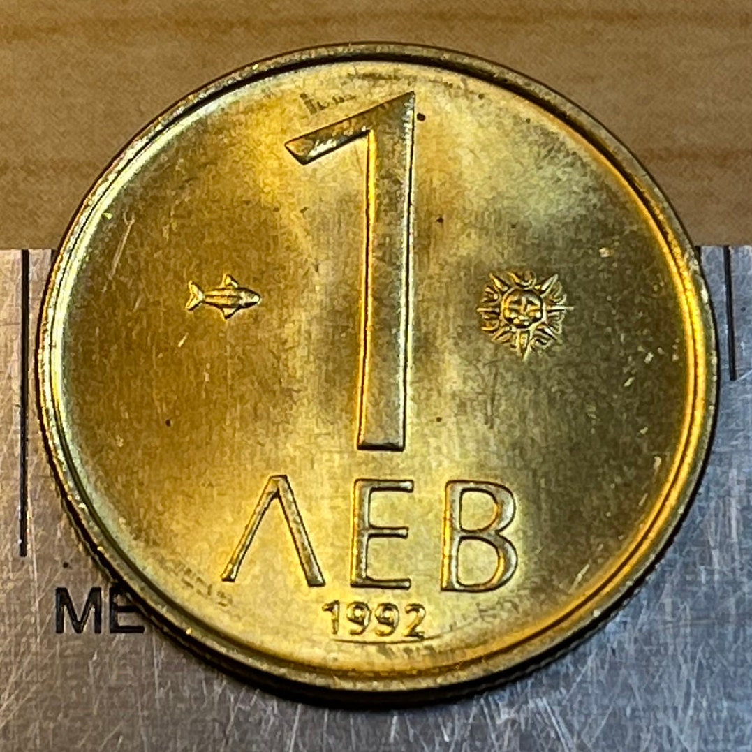 Horse-Riding God 1 Lev Bulgaria Authentic Coin Money for Jewelry and Craft Making (Madara Rider)