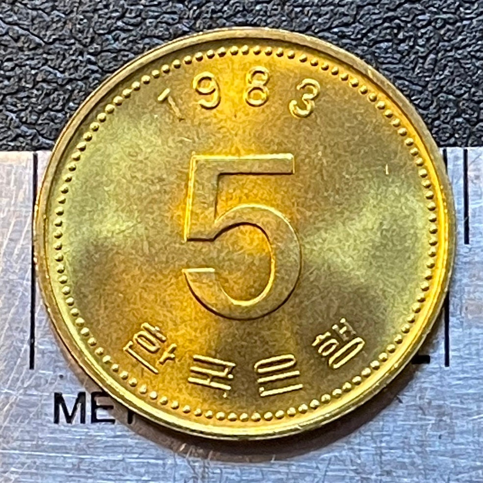 Turtle Ship 5 Won South Korea Authentic Coin Money for Jewelry and Craft Making (Geobukseon)