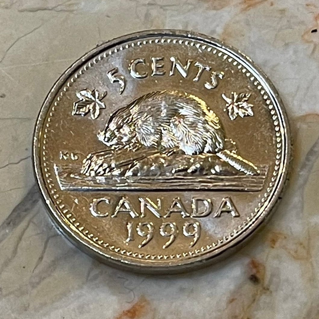 Beaver & Queen Elizabeth Canada 5 Cents Authentic Coin Money for Jewelry and Craft Making