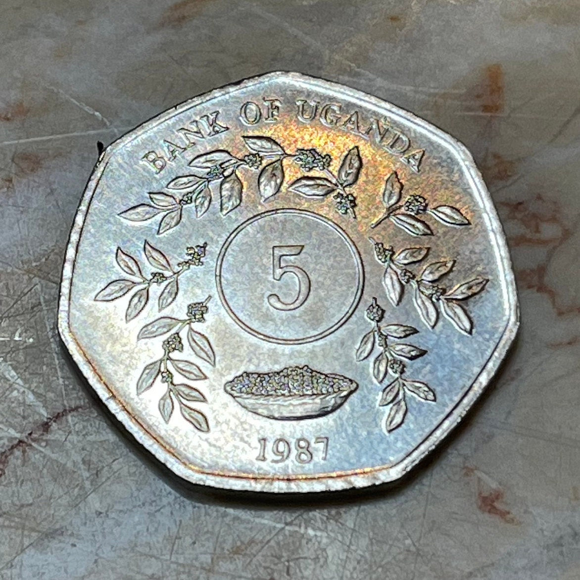 Heptagonal 5 Shillings Uganda Authentic Coin Money for Jewelry and Craft Making