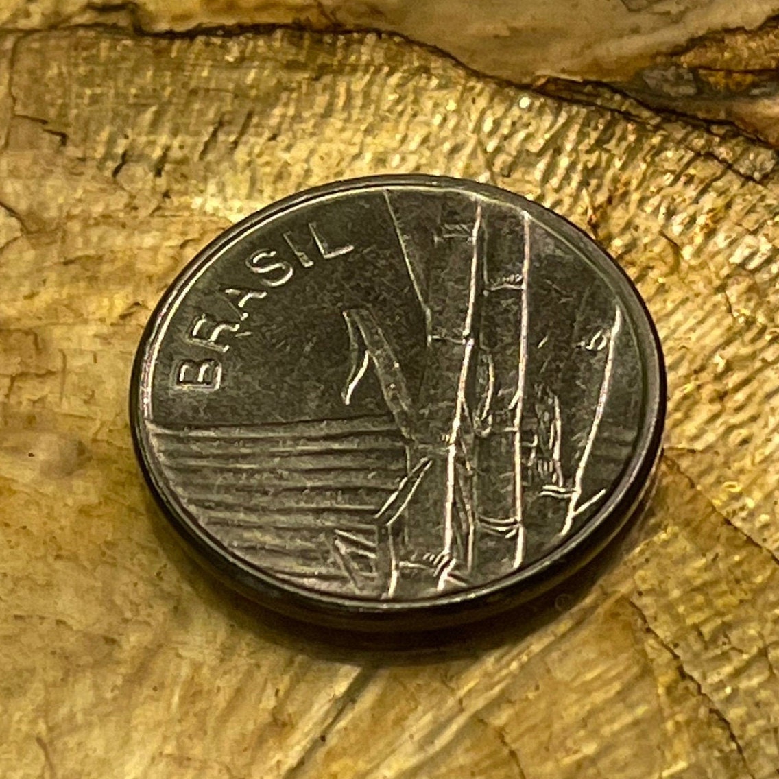 Sugar Cane 1 Cruzeiro Brazil Authentic Coin Money for Jewelry and Craft Making
