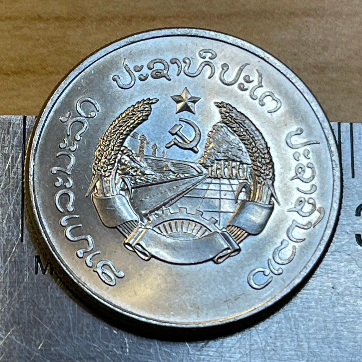 Tilapia Fish 50 Att Laos Authentic Coin Money for Jewelry and Craft Making